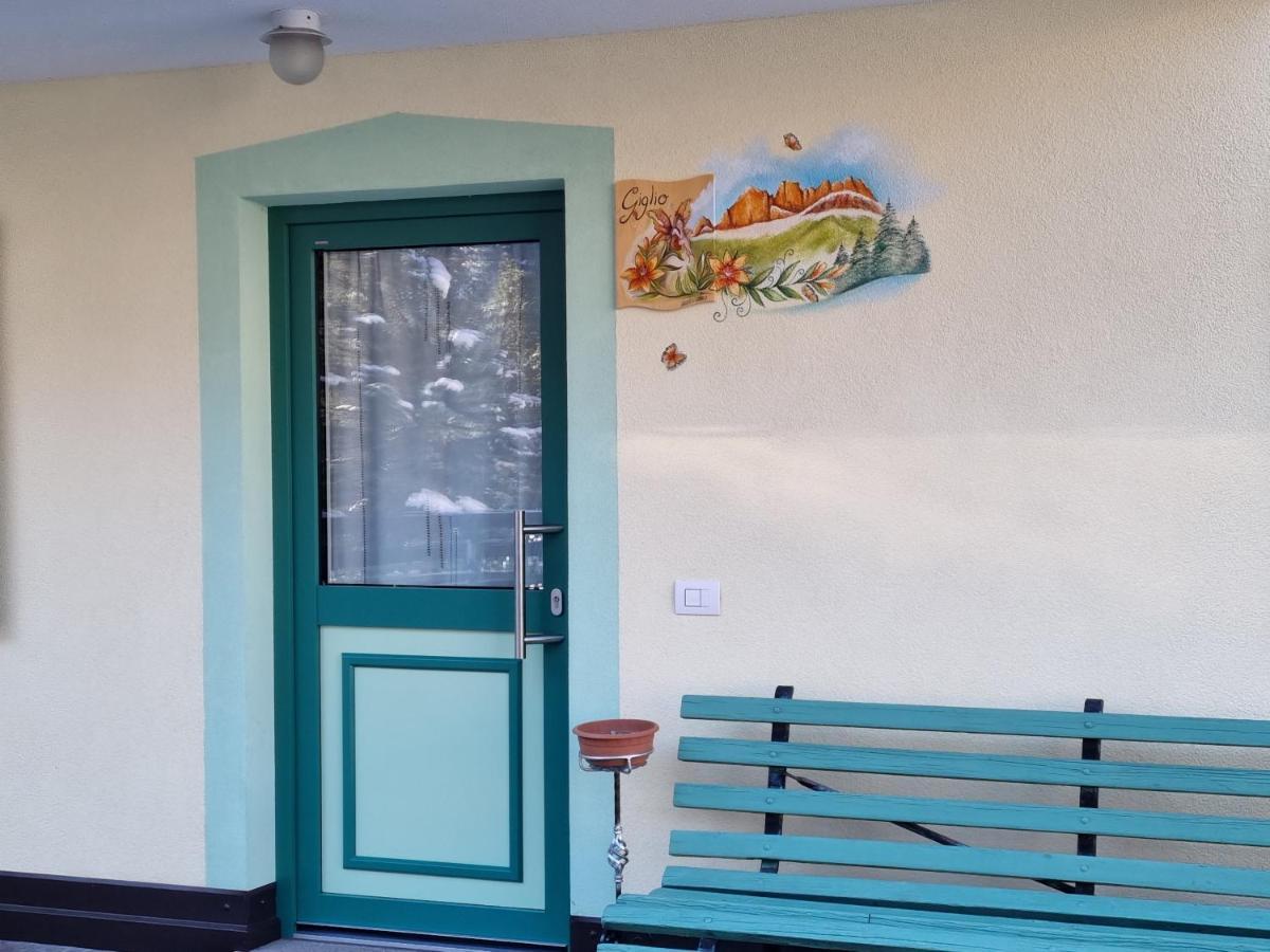 Ciapia Apartment Campitello di Fassa Ngoại thất bức ảnh