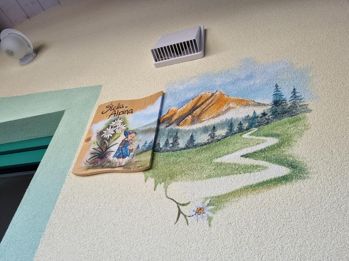 Ciapia Apartment Campitello di Fassa Ngoại thất bức ảnh